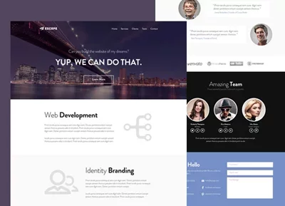 portfolio item